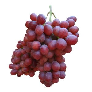 uva negra sin pepita